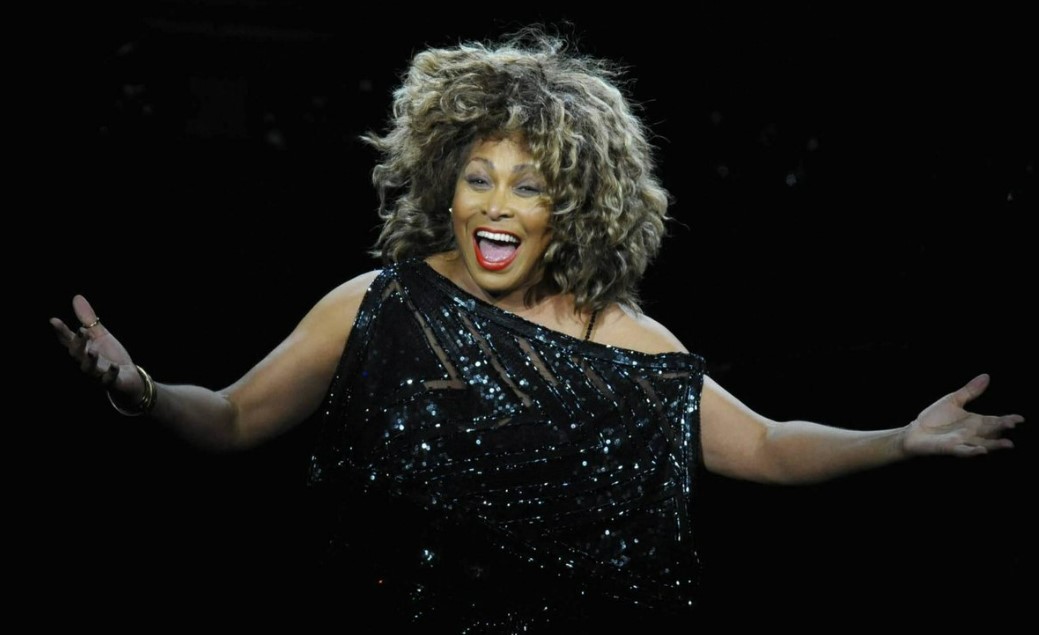 Tina Turner (Foto: divulgação)