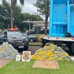 Carga de cocaína apreendida pela PF e PM em piscinas de fibra (Foto: PRF)