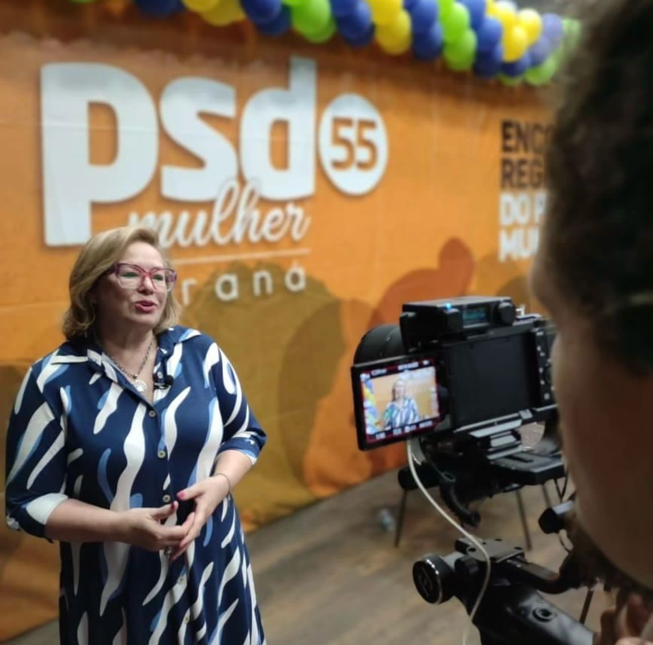 Terezinha Pereira (Foto: Divulgação)